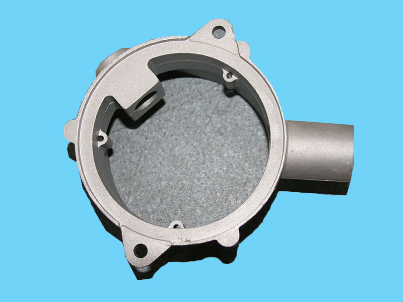 �y�T���_�P(gu��n)