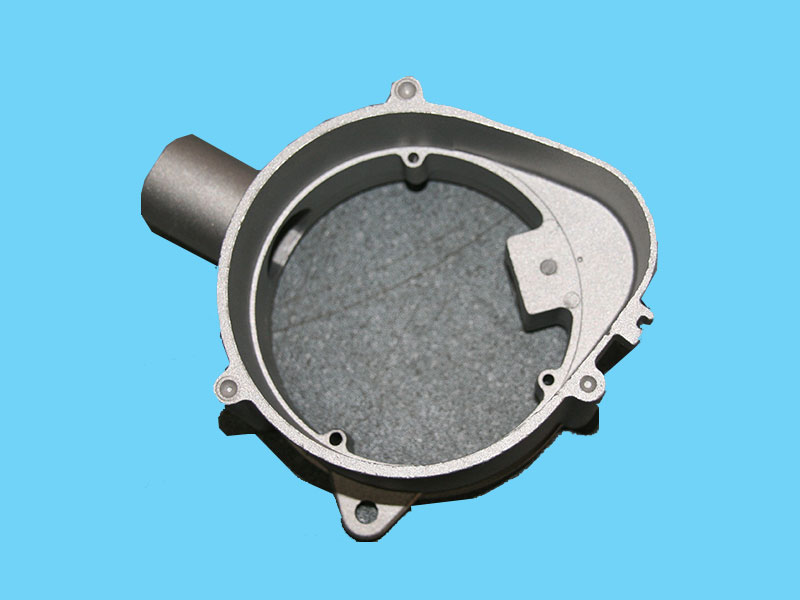 �y�T���_�P(gu��n)