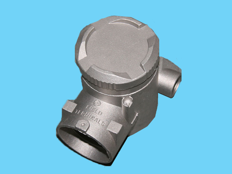 �y�T���_�P(gu��n)